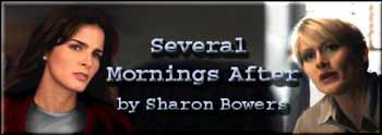 Several Mornings After by Sharon Bowers