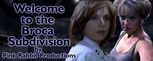 Welcome to the Broca Subdivision by Pink Rabbit Productions